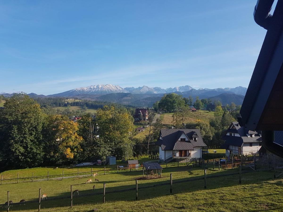 Apartamenty Gorska Mila Apartzakop Zakopane Extérieur photo